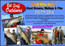 book-may-june-ad-150