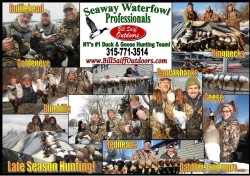 late-season-duck-ad-2015-150