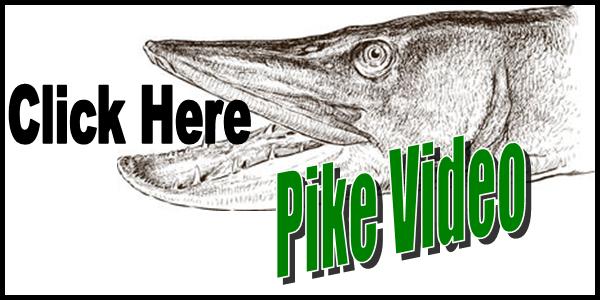 Ice Fishing Pike Video Tag 2016-150