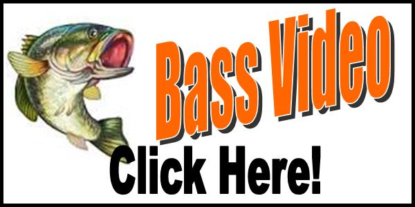 Bass Video Tag 2016-150