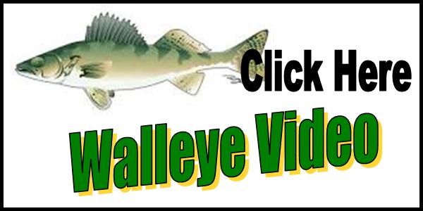 Walleye Video Tag 2016-150