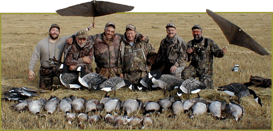 Canada goose discount hunts