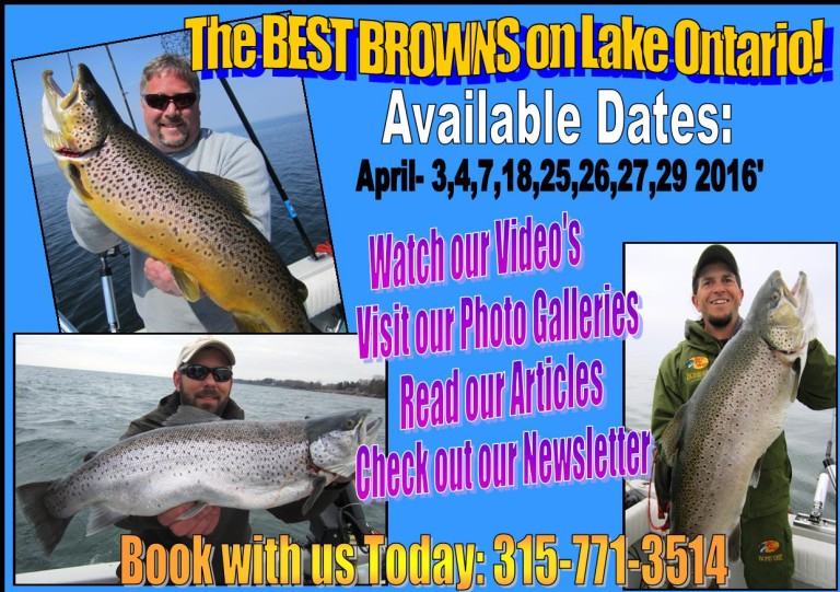 Catch Big Brown Trout! - Hit the South Shore with the Saiff Charter