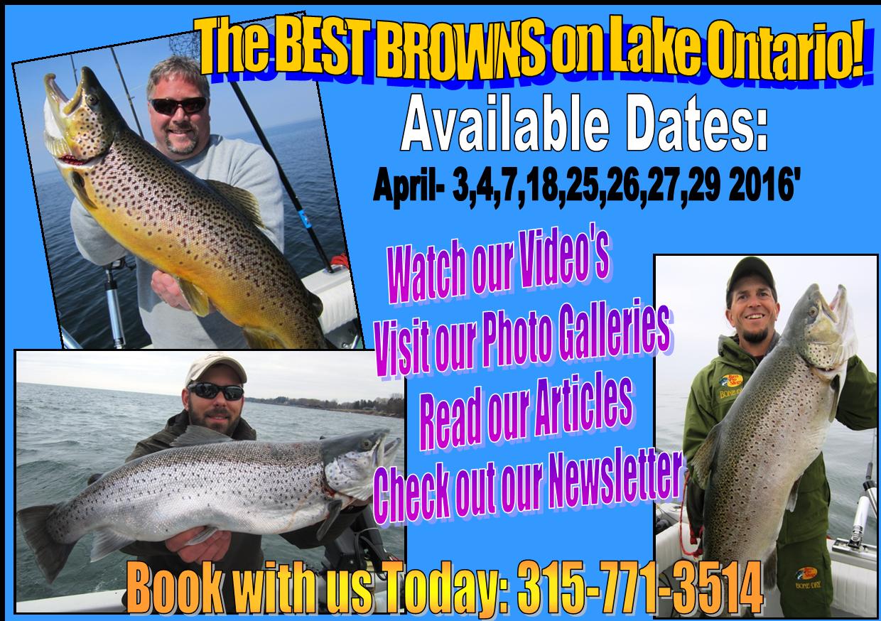 Catch Big Brown Trout! - Hit the South Shore with the Saiff Charter ...