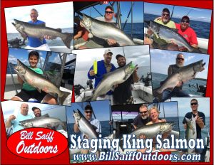 Staging King Salmon Ad2 2017-150