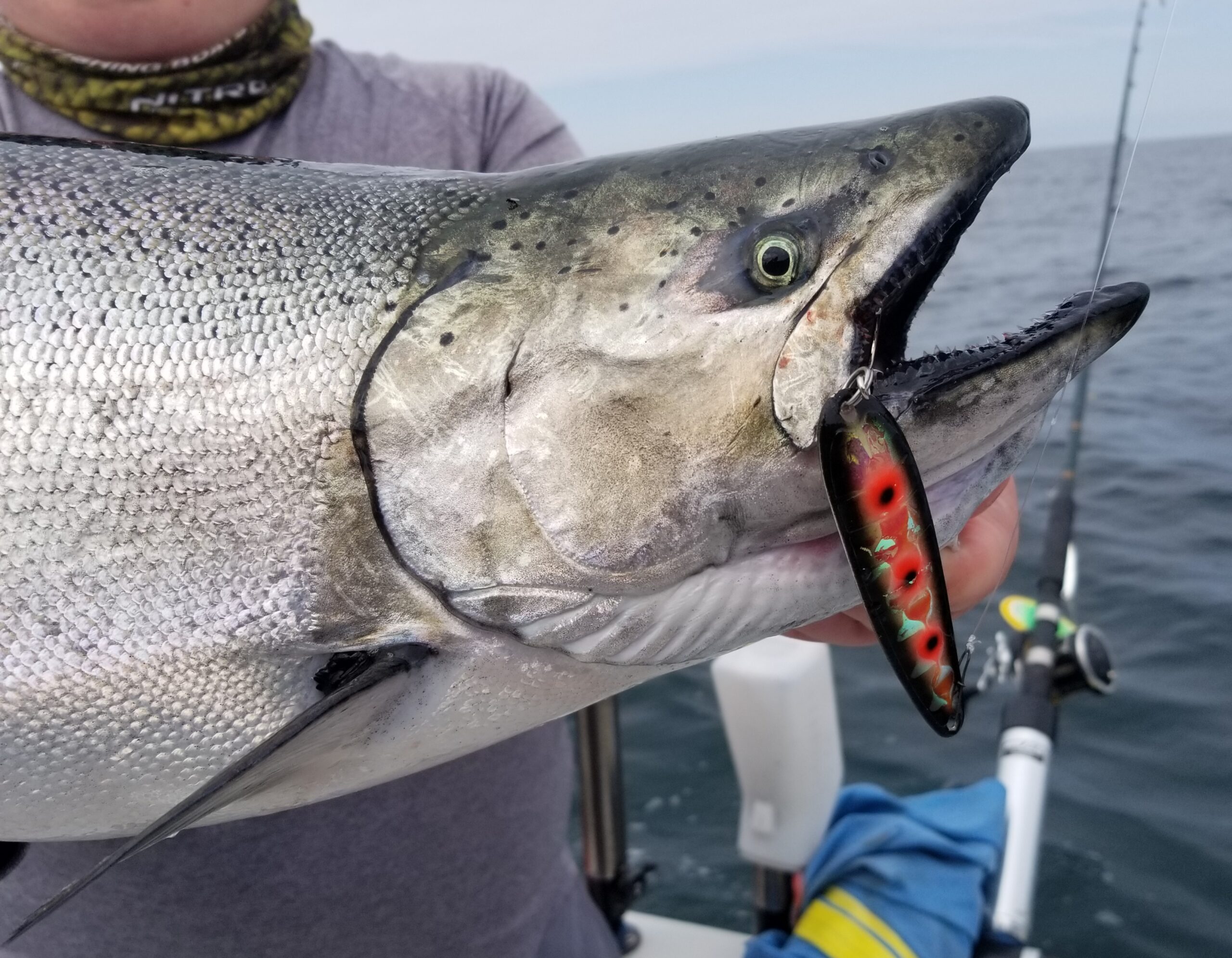 Lake Ontario Salmon Fishing Trips - Bill Saiff Outdoors